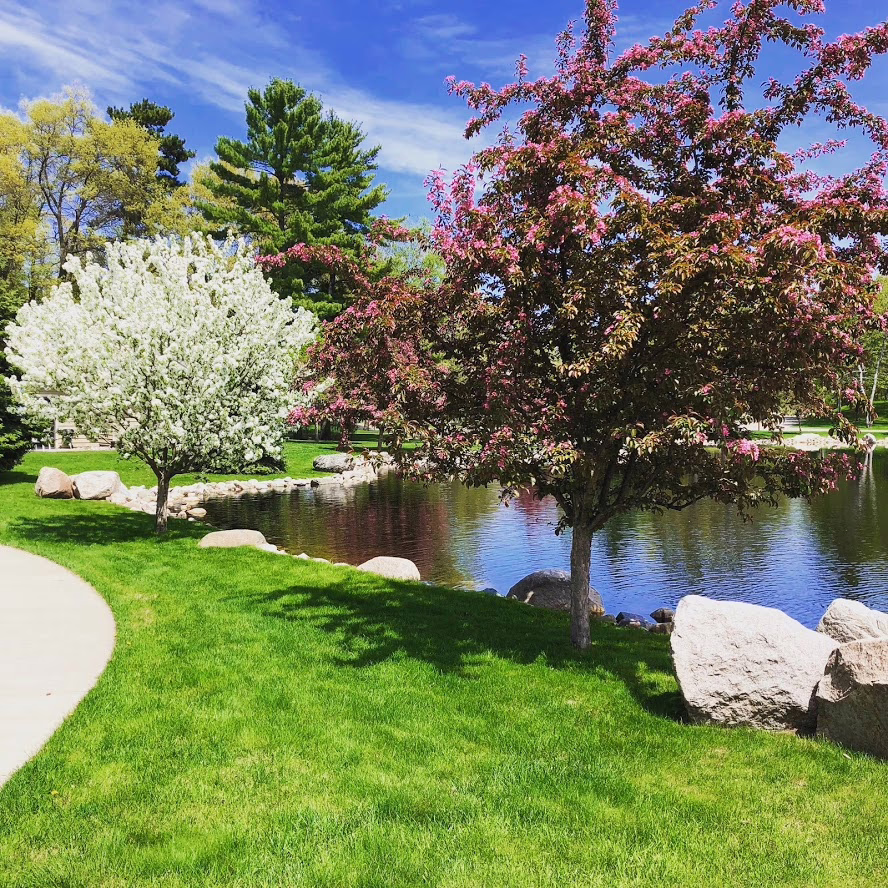 E3897a62 6ff9 4433 9e6b 85e45004491b