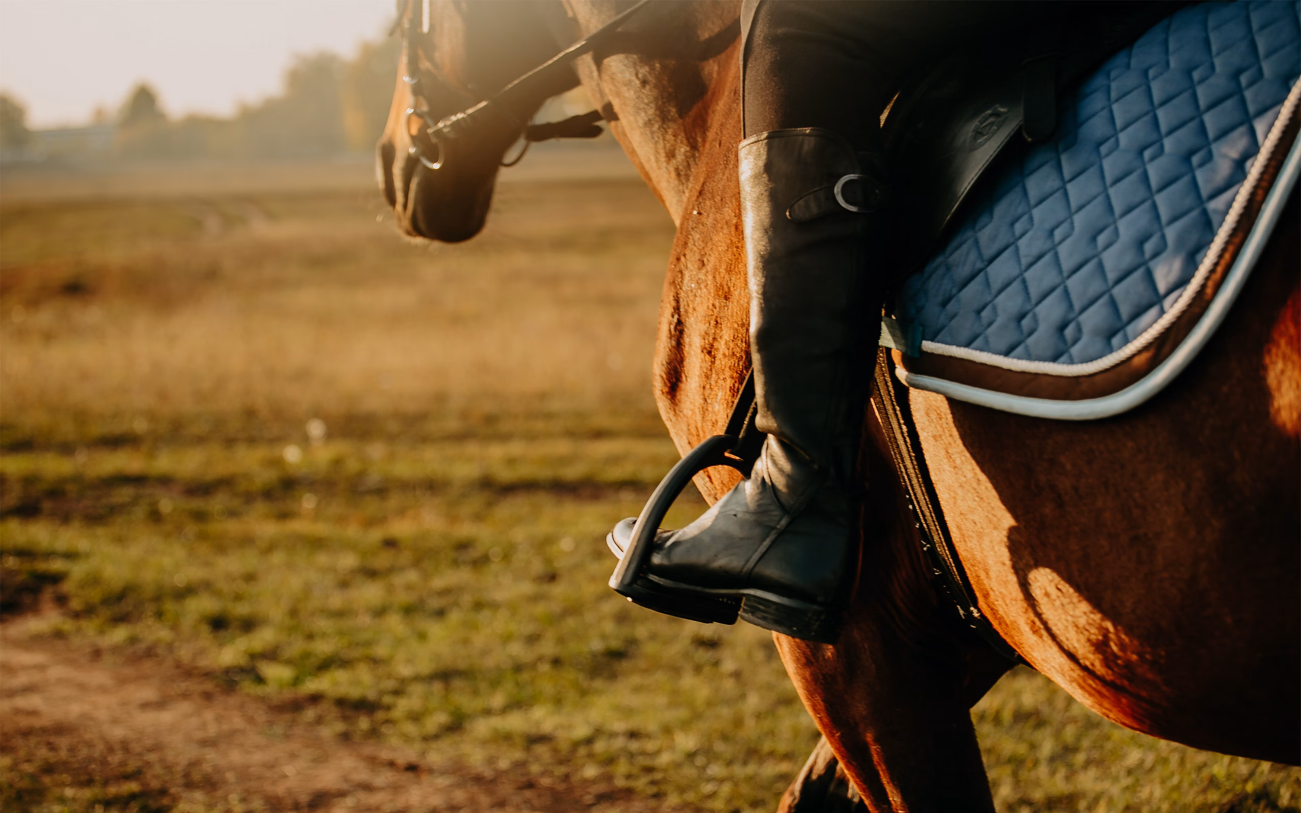 Kavanaughs Horseback Riding